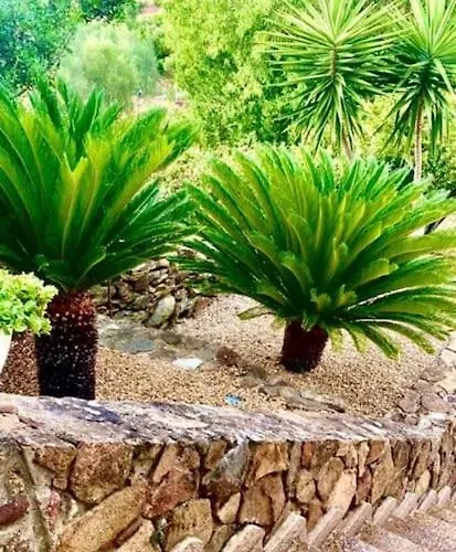 Apartman Balbros Teulada